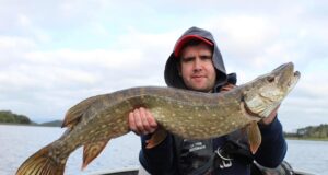 Big Pike starting to show for Guided Predator Angling