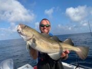 Seas alive – great pollock and cod off Kinsale wrecks