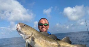 Seas alive – great pollock and cod off Kinsale wrecks