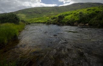 Irish Angling Update 18 September 2020