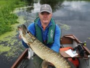 Good Cavan pike on Spinners and Soft Plastics