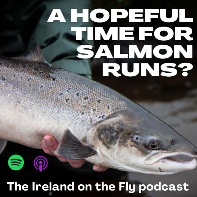 Ireland on the Fly