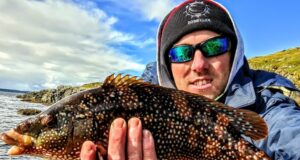 Smashing pollock and wrasse for the Killybegs Mariners