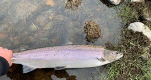 Update: Salmon regulations 2026