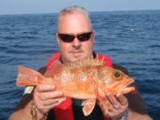 Bluemouth by the ton aboard Shock-waves, rays prove elusive