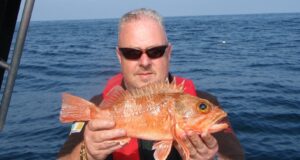 Bluemouth by the ton aboard Shock-waves, rays prove elusive
