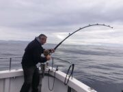 Clare coast off the mark for Bluefin, Donegal Bay still fishing well