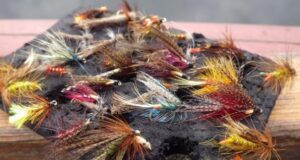 Second summer makes it tougher on Sheelin, though good waves bring great fish