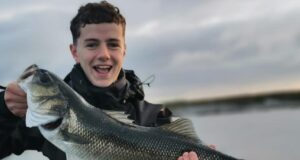 Bass regs update – daily bag limit of 2 fish a day to end July