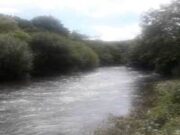 Quiet on the Bandon, rain should improve fishing