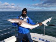 Big pollack and specimen tope for Wicklow Boat Charters Specimen tope
