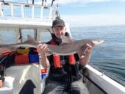 Looking to claim a specimen this year? Get your forms in quick! smoothhound
