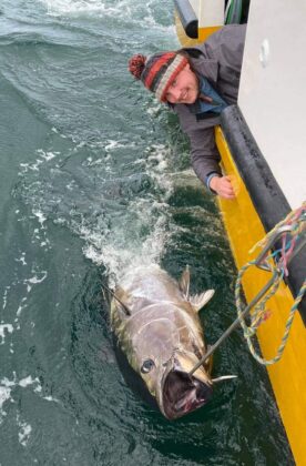 tuna release