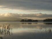 Irish Angling Upate – 16 October 2020