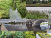 Community Water Management Training in County Longford Longford waters 2020