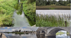 Longford waters 2020
