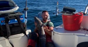 conger eel