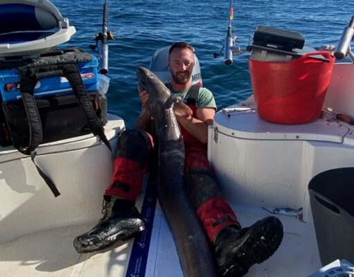 conger eel