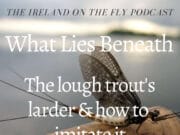 Ireland ont he Fly podcast