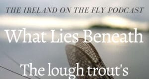Ireland on the fly: What lies beneath Ireland ont he Fly podcast