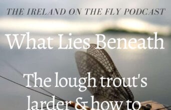 Ireland on the fly: What lies beneath Ireland ont he Fly podcast