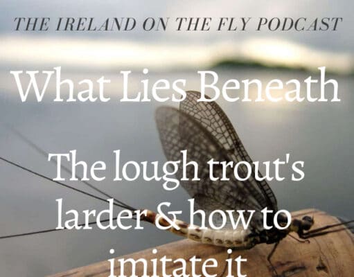 Ireland ont he Fly podcast