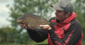 Look and Learn: Steve Ringer – Feeder fishing in Ireland Feeder fishing in Ireland with Steve Ringer