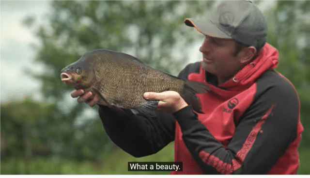 Feeder fishing in Ireland with Steve Ringer