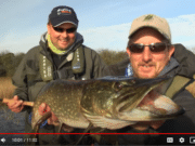 Look and Learn: How to fly fish for Irish pike