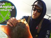 VIDEO: Thornback Ray Fishing in West Cork