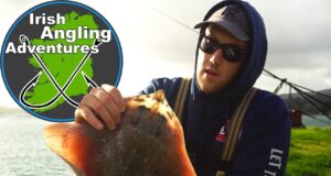 VIDEO: Thornback Ray Fishing in West Cork
