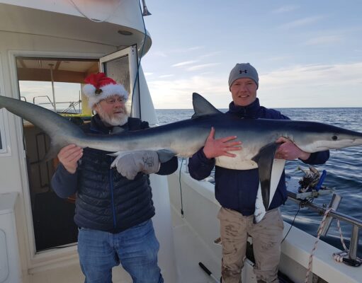 Irish Angling Update 4 December 2020 Blue shark