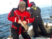 codling