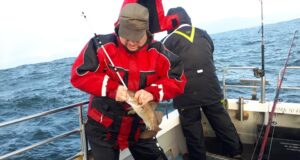 codling