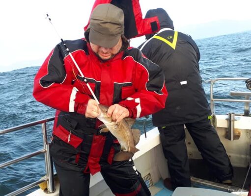 Codling, pollack, mackerel and herring for Fiona T in Killybegs codling