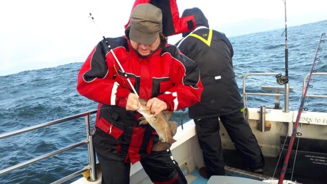 131010198_1220034175056903_929829647059674838_n codling
