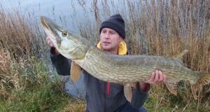 Pike a little sluggish in the midlands but good fish about pike
