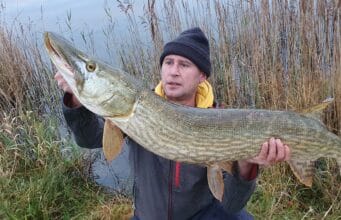 pike