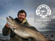 Look and Learn: How To Catch A Monster