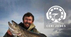 Look and Learn: How To Catch A Monster
