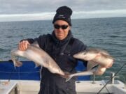 Wicklow Boat Charters back on the Spurdogs
