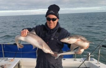 Wicklow Boat Charters back on the Spurdogs