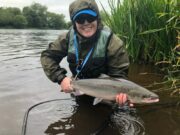 Salmon and Sea Trout Angling Licence for 2021 now available Salmon before being released back into water
