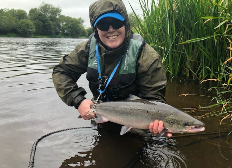 Salmon before being released back into water
