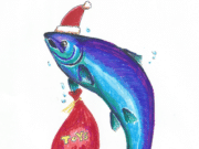 Irish Angling Update – 22 December 2020 Happy fishmas