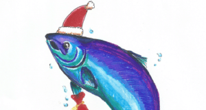 Irish Angling Update – 22 December 2020 Happy fishmas