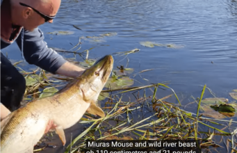 21lb 110cm pike for Marcin Kantor