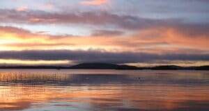 Irish Angling Update – 22 January 2021 Sheelin