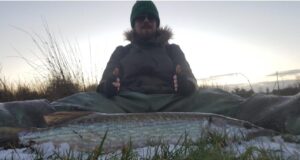 pike