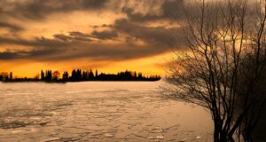 Irish Angling Update 15 January 2021 Lough Sheelin